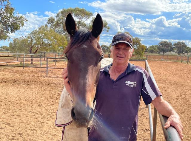 Shark snapping at Pirie Cup | The Recorder