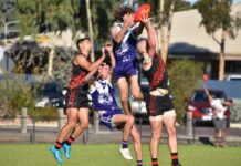 Lions roar over Sollies, Port and Centrals remain undefeated