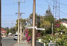 Solomontown footpaths to be sealed through Port Pirie Greening Program