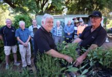 Nyrstar ‘Seed to Seedling’ program with Port Pirie Community Garden