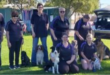 Port Pirie Dog Obedience Club Rally and Trial Event