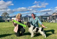 Port Pirie Kennel Club Easter Show Weekend