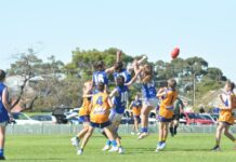 Port Pirie Football Gallery Round 2 Games April 22