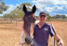 Shark snapping at Pirie Cup