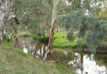 Discover what’s happening in Port Pirie