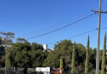 Car rollover in Mary Elie Street