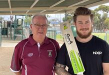 Community groups share in giant greening grants