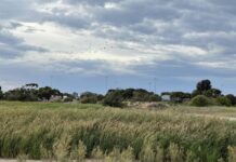 Discover what’s happening in Port Pirie