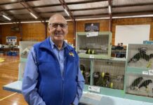 Feathered friends lead to community connections