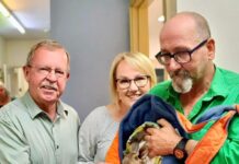 Wildlife warrior in search of sanctuary