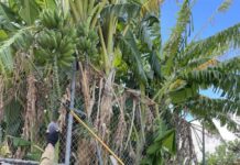 Community is growing