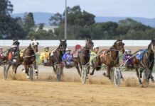 Locals power home at the end of the season