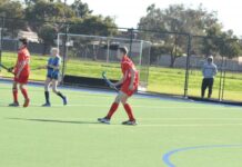 Fast and furious again