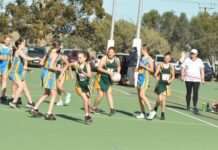 Netball and Football in Pirie