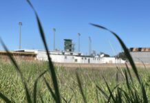 Sports hub in draft budget