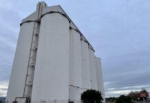 Do silos need coat of paint?