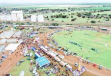 It’s show time in the Brook