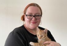 Stray cat rumble in Broughton