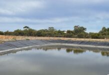 Roll up your sleeves this National Tree Day