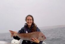 Marine researcher to advise SA Senator