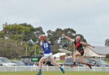 Port Pirie Football, Netball and Hockey