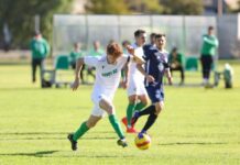 Reds share the points