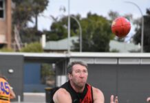 Proof we are slightly obsessed with sports