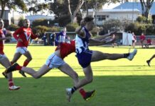 Teams look to win big before Country Championships