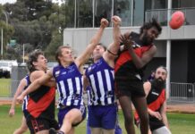 Sollies and Lions battle it out for top spot on the ladder