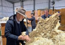 Shadow Ministers visit Grey