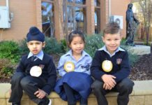 Little lions growing into school cubs