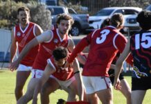 South break the hoodoo, Lions taken to the limit