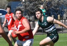 Sollies sow up minor premiership, South surge home and 2023 finals series announced