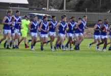 Lions rip through Port on 30th anniversary, rebuilding South sees positive growth