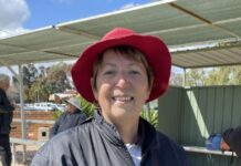 Top sports whatever the weather