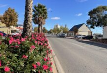 Social housing pipeline doesn’t extend to Pirie