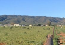 Discover what’s happening in Port Pirie