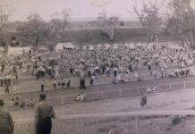 Countdown to Picnic Day