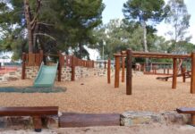 Play Time at Woodward Park