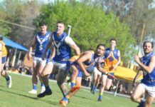 Lions crowned 2023 premiers, Cats left to lick their wounds