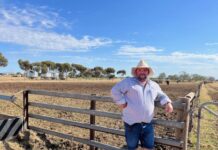 Methane-busting seaweed good for planet