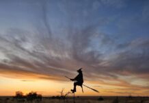 Discover what’s happening in Port Pirie