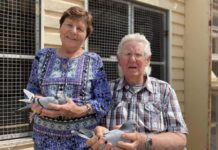 Champions of the sky