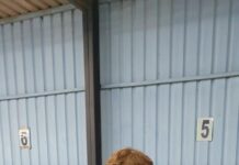 Blue and Green take the wins in exciting matches this week