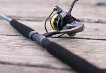 Tough penalties handed to fishers breaking the law