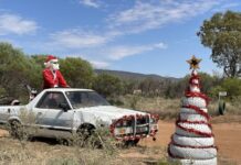 Christmas on a grand scale