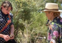 Students’ devastating loss