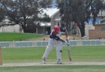 South sits on top of ladder