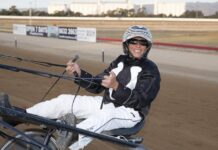 Pullicino is back on track