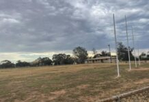 Council seeks a future for Globe Oval